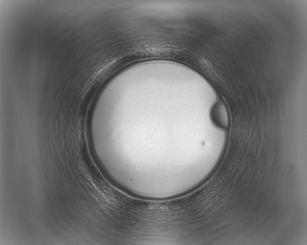 X0000052970640200507300138