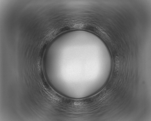 X0000052970641200507300138