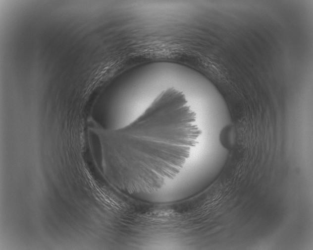 X0000052970642200507300138
