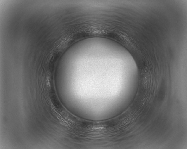 X0000052970643200507300138