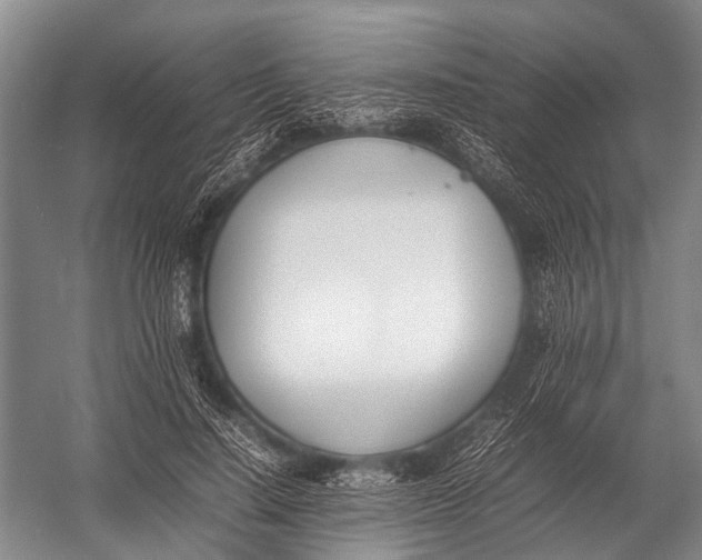 X0000052970644200507300138