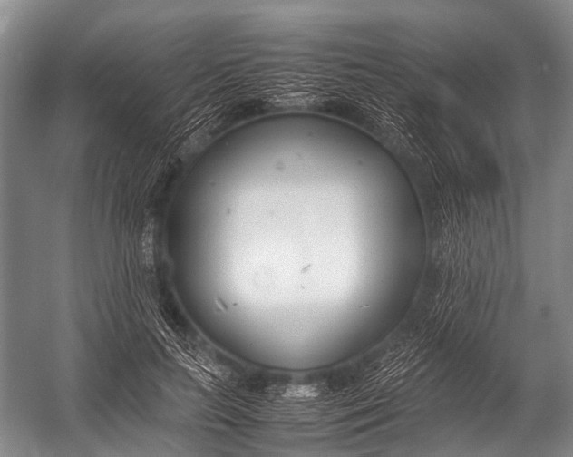 X0000052970647200507300138
