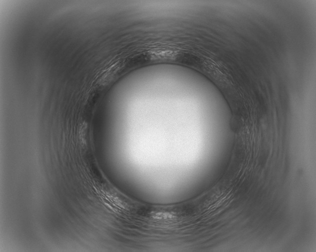 X0000052970649200507300138