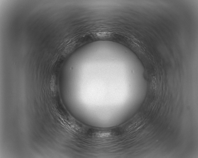 X0000052970651200507300138