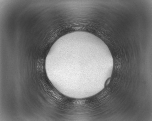 X0000052970664200507300139