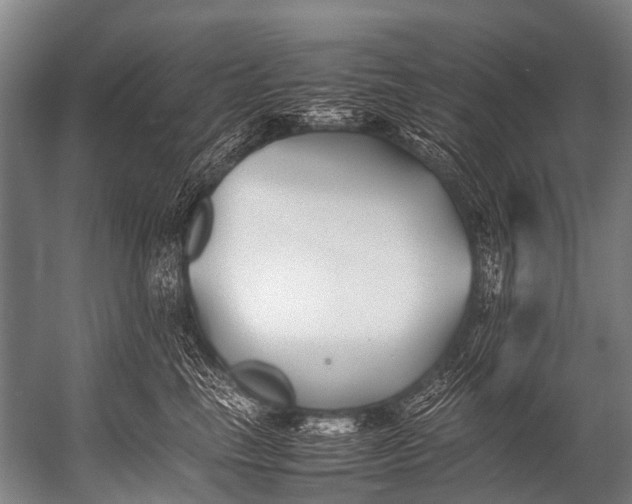 X0000052970665200507300139