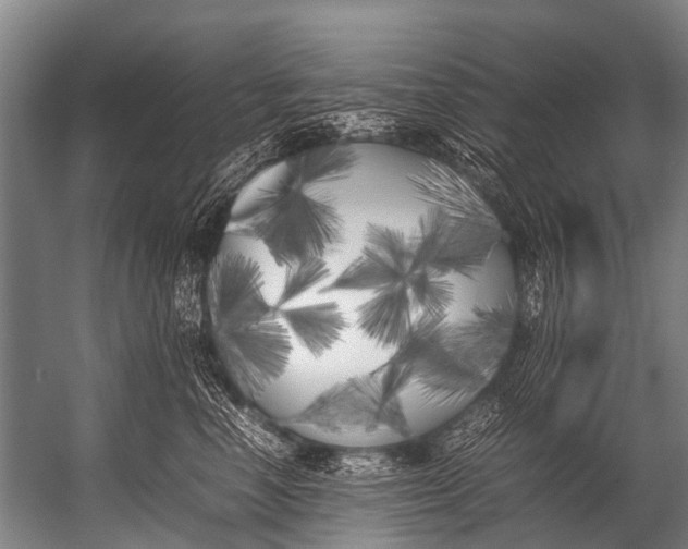 X0000052970666200507300139