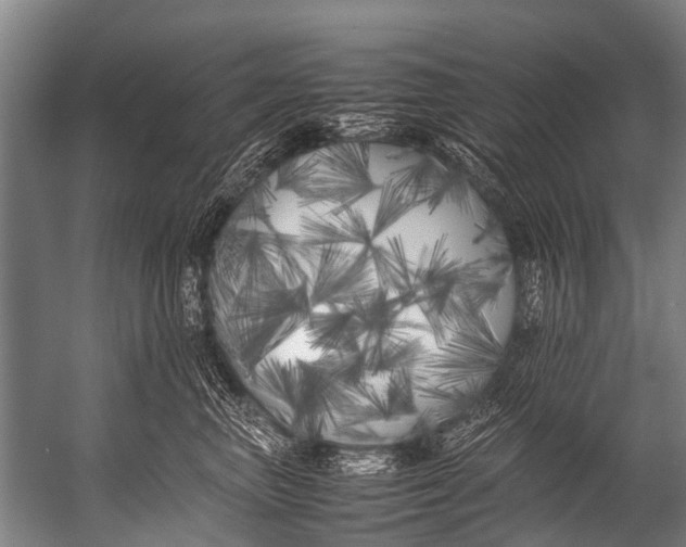 X0000052970667200507300139