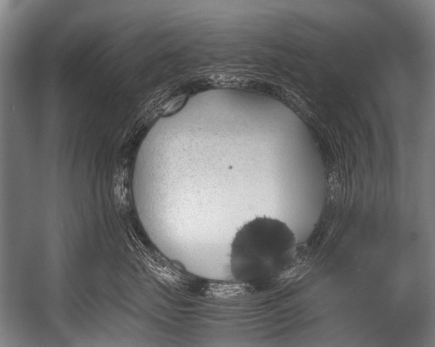 X0000052970671200507300139