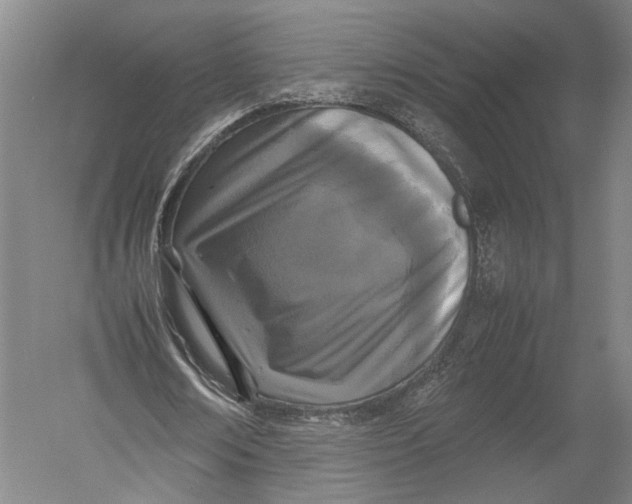 X0000052970674200507300138