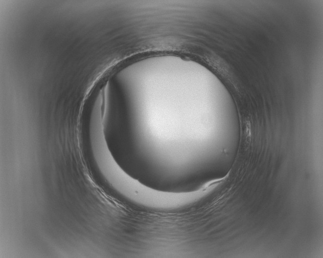 X0000052970676200507300138