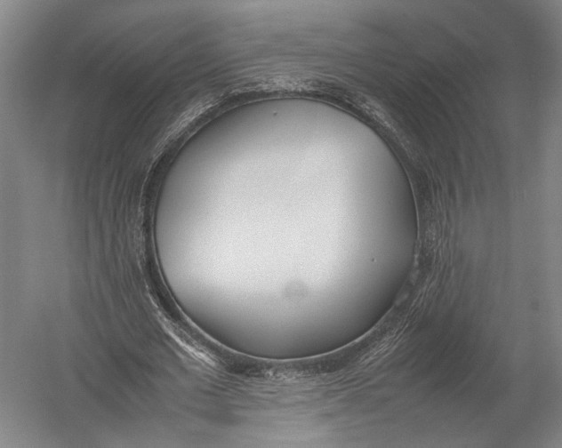 X0000052970677200507300138