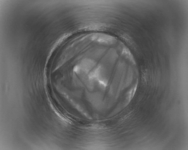 X0000052970678200507300138
