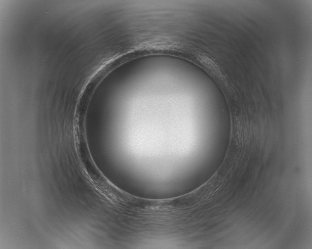 X0000052970680200507300138