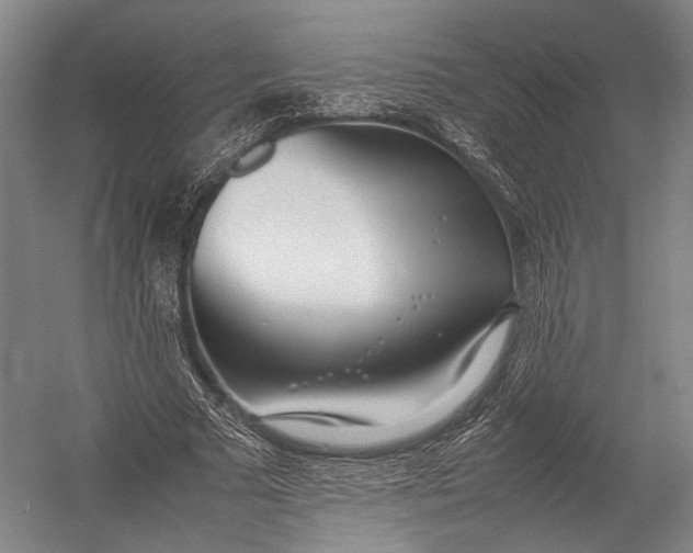 X0000052970681200507300138