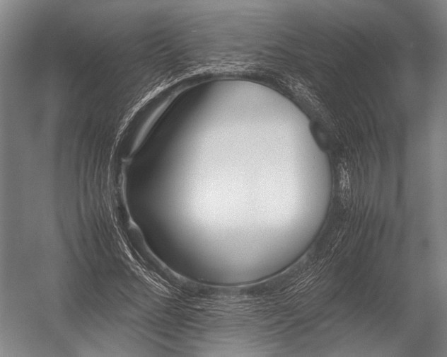 X0000052970684200507300138