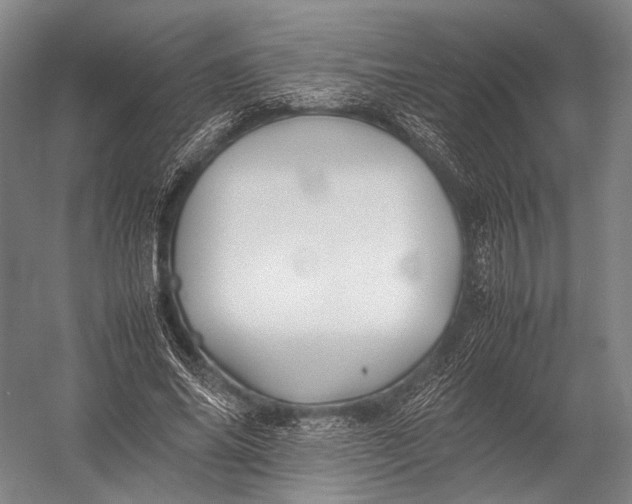 X0000052970686200507300138