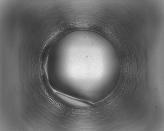 X0000052970688200507300138