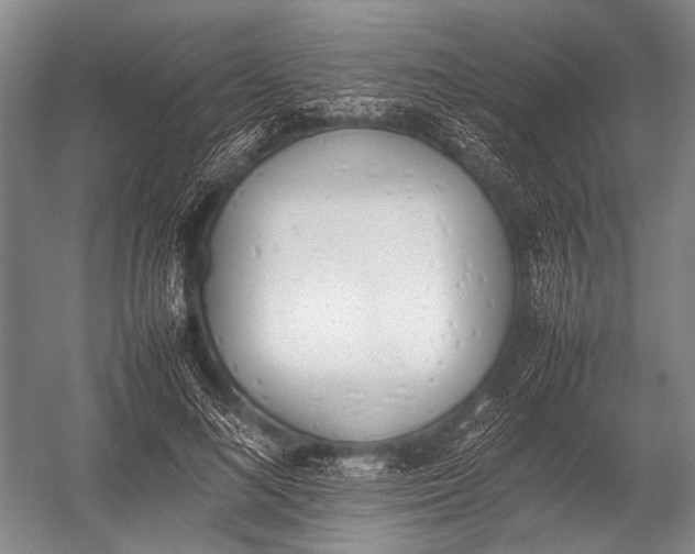 X0000052970692200507300138