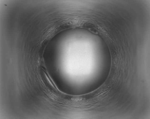 X0000052970693200507300138