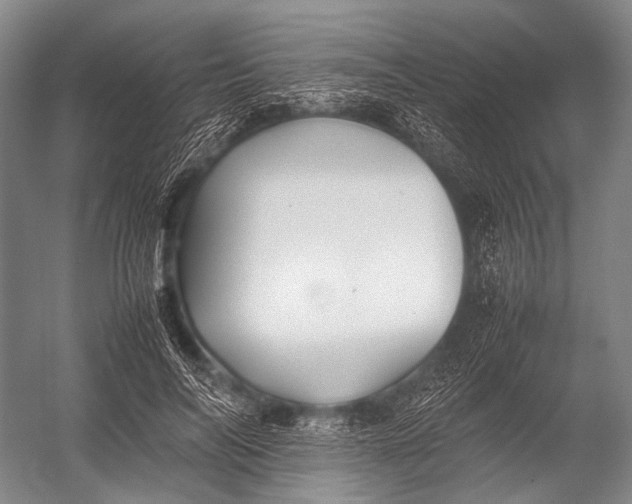 X0000052970694200507300138