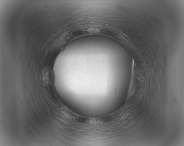 X0000052970697200507300138