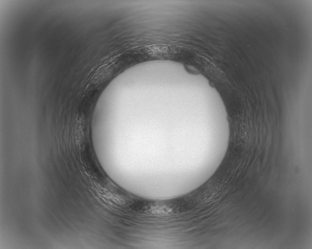 X0000052970702200507300138