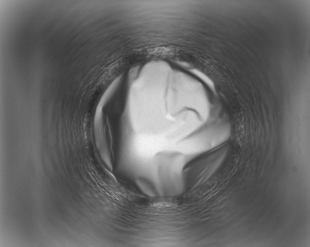 X0000052970708200507300137