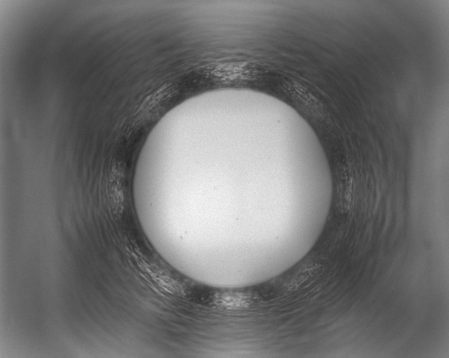 X0000052970710200507300137