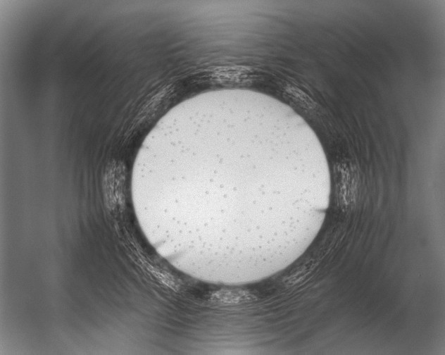 X0000052970712200507300137