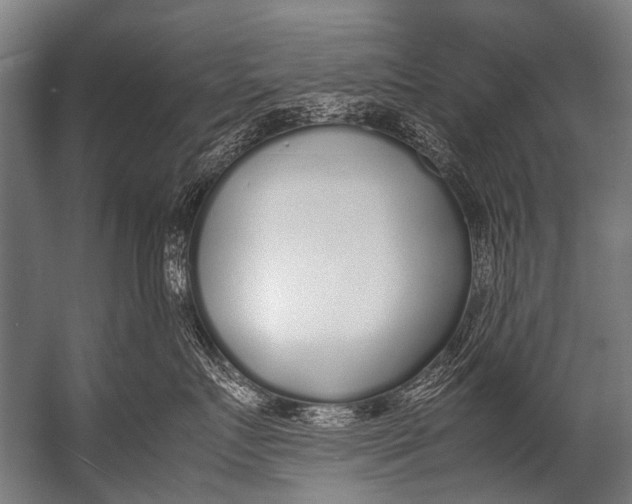 X0000052970719200507300137