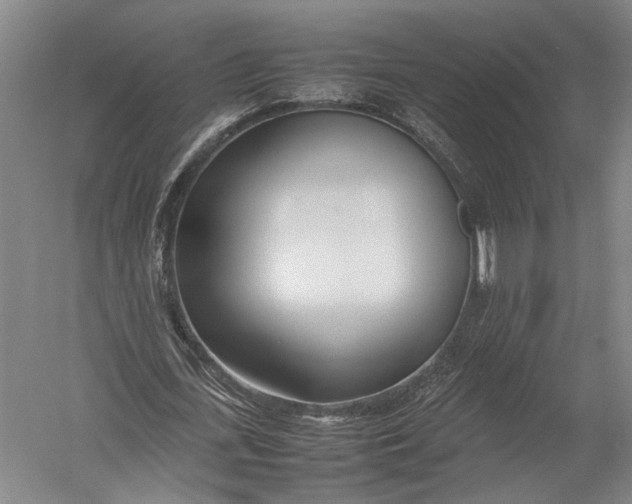 X0000052970723200507300136