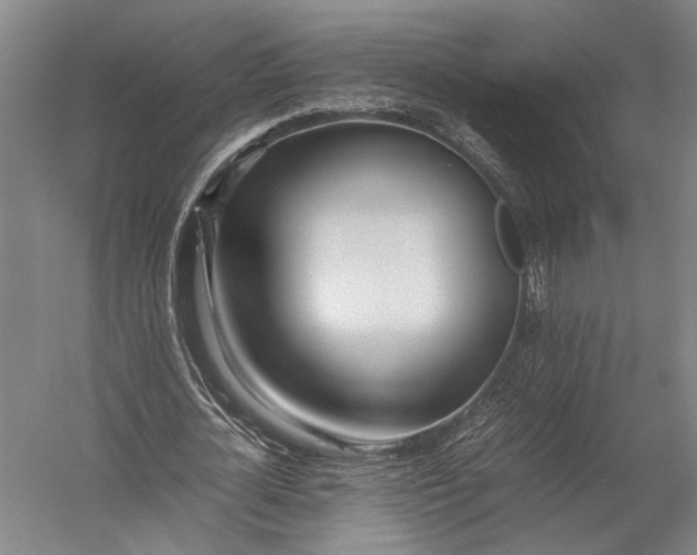 X0000052970724200507300136
