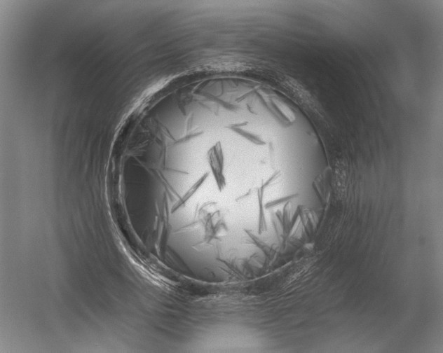 X0000052970726200507300137