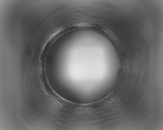 X0000052970727200507300137
