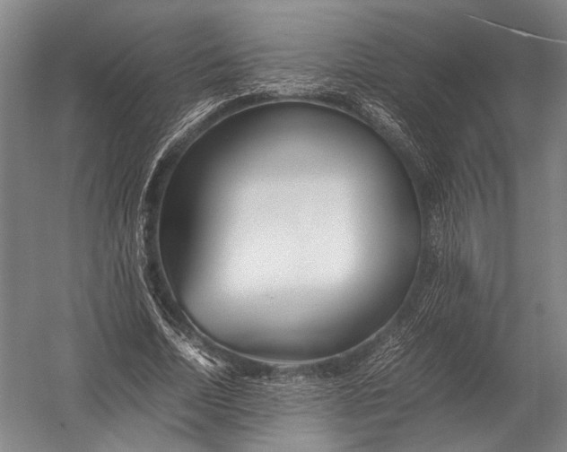 X0000052970730200507300137
