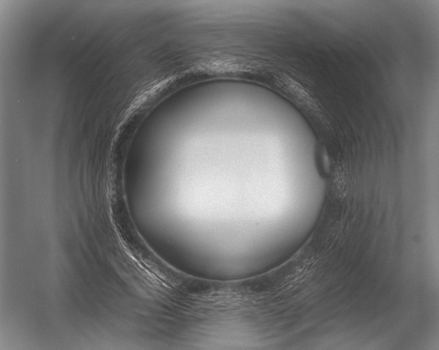 X0000052970732200507300137