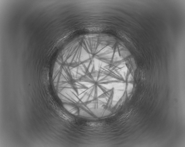 X0000052970733200507300137