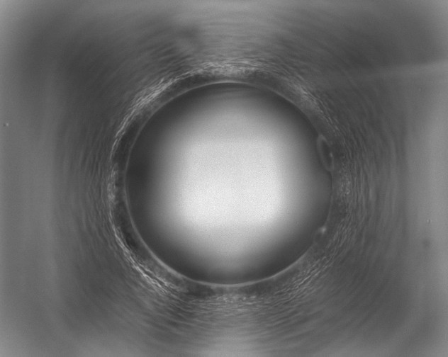 X0000052970736200507300137