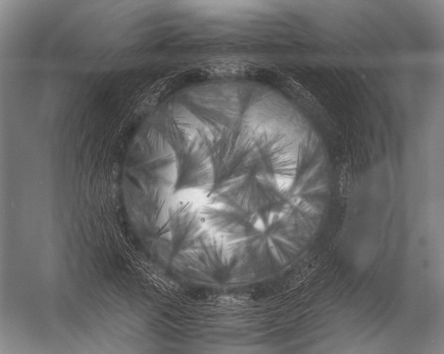 X0000052970737200507300137