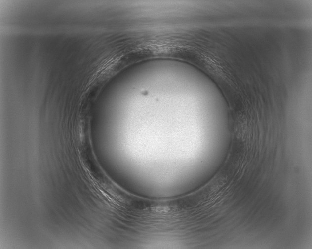 X0000052970740200507300137