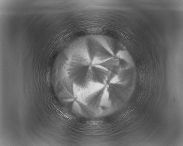 X0000052970745200507300137