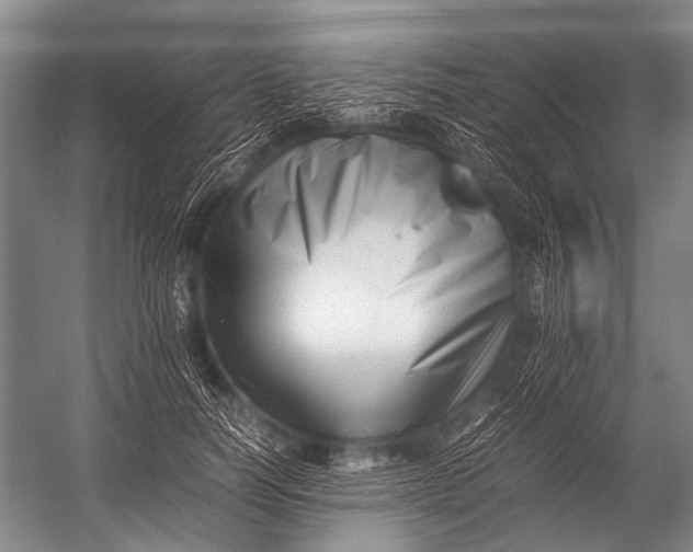 X0000052970746200507300137