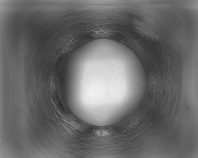 X0000052970751200507300137