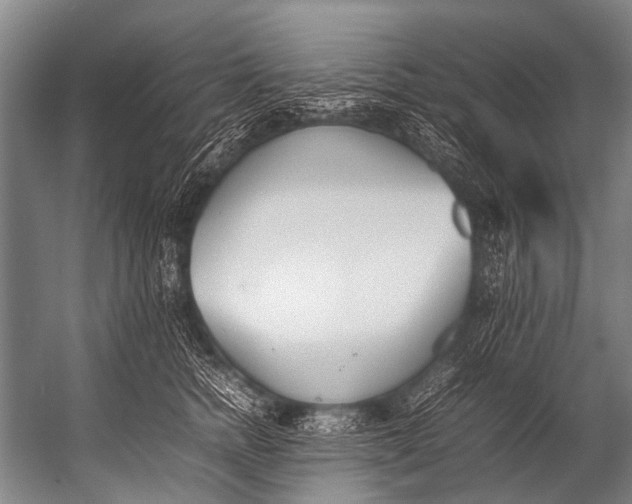 X0000052970758200507300137