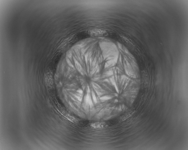 X0000052970761200507300137