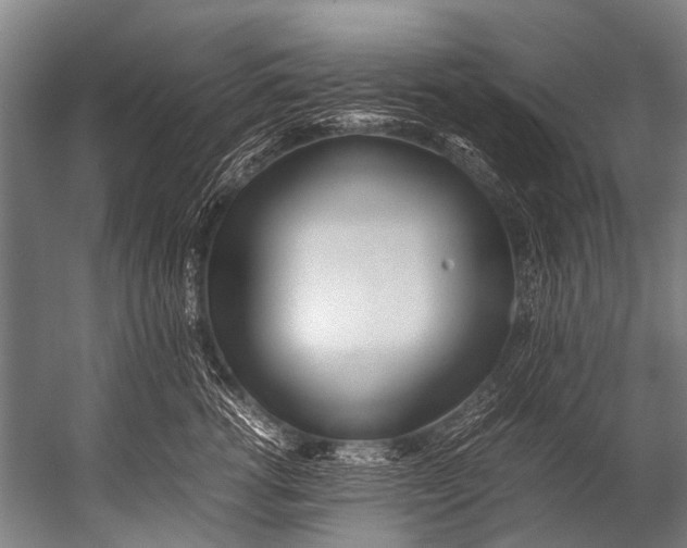 X0000052970762200507300137