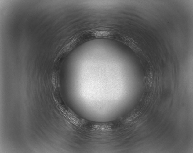 X0000052970763200507300137
