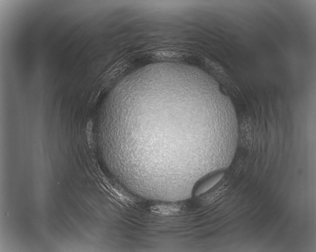 X0000052970765200507300137