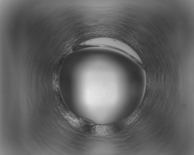 X0000052970766200507300137